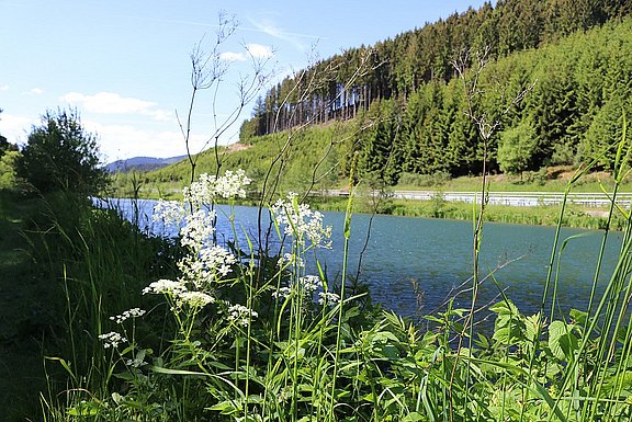 Bergklosterlauf_Natur_7.jpg 