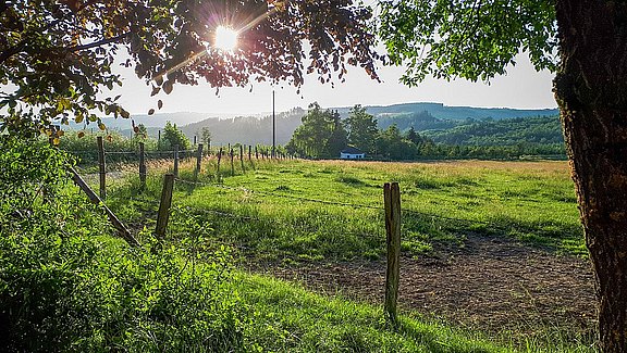 Bergklosterlauf_Natur_1.jpg 