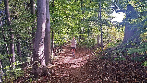 Bergklosterlauf_Natur_2.jpg 