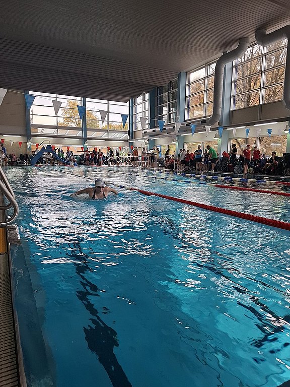 Herbstschwimmfest_2025_3.jpg 