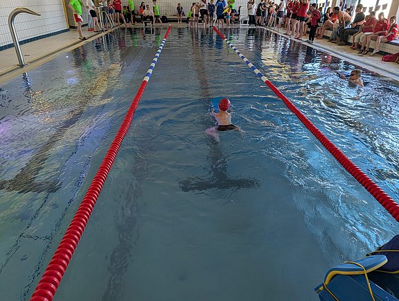 Freundschaftsschwimmen_10052025_2.jpg 